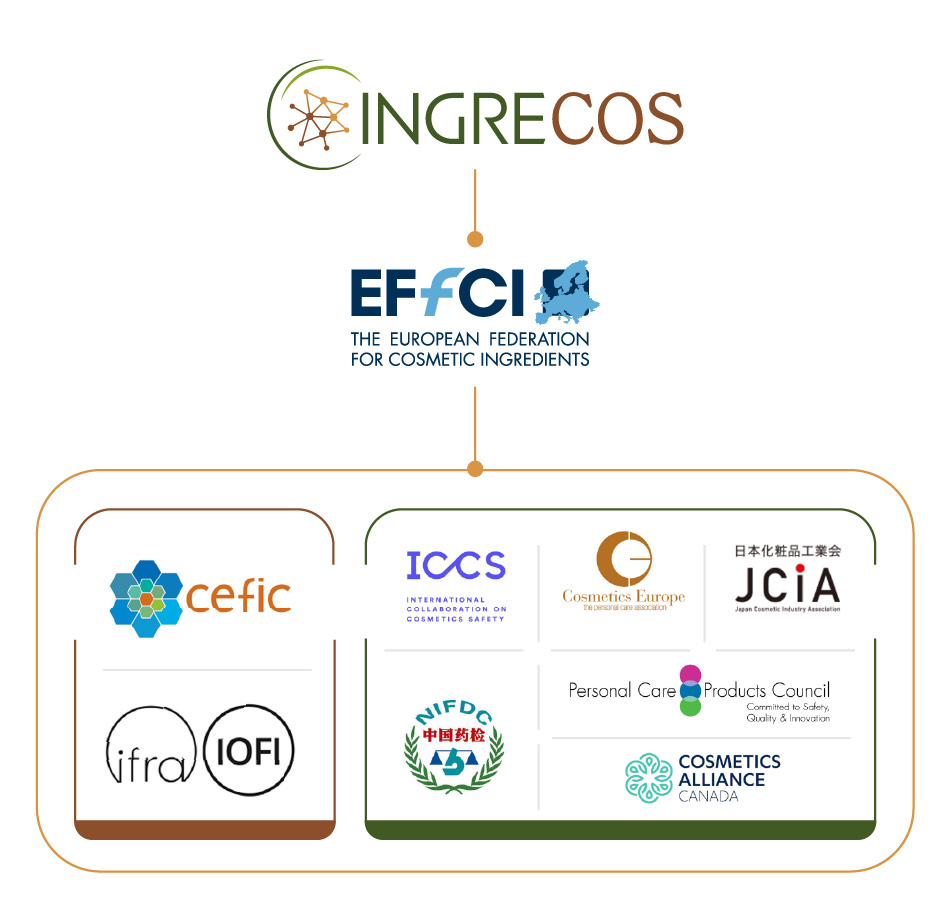 Schema-INGRECOS-V2