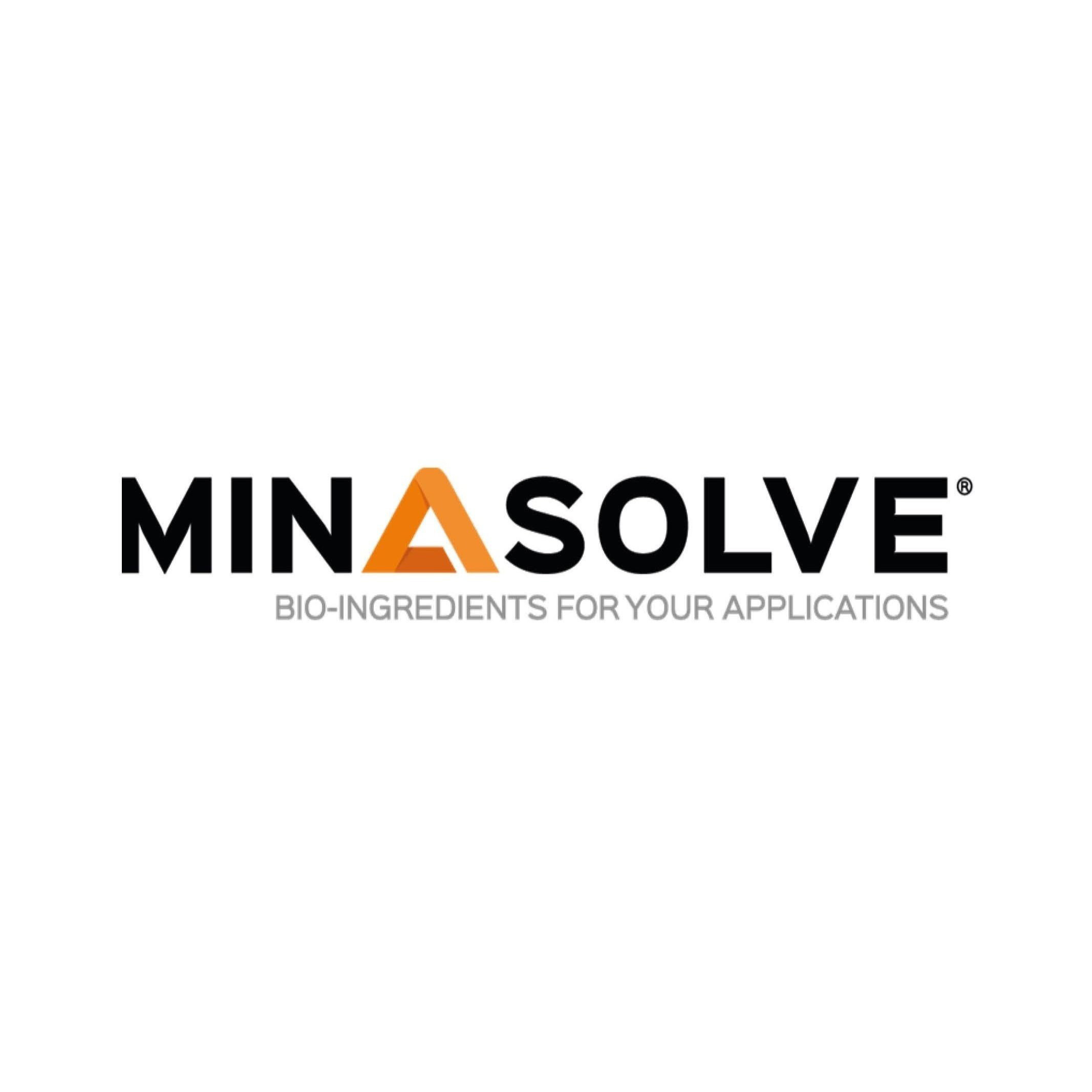 minasolve
